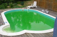 Eau verte dans la piscine